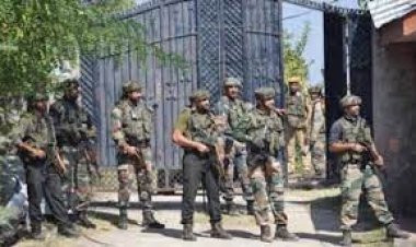 Pakistani intruder did not stop after warning in Samba, BSF killed