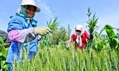 Big trouble faced by the farmers of China, know what