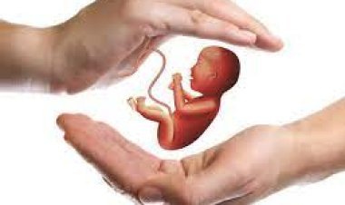 Human synthetic embryo created from stem cells without egg and sperm