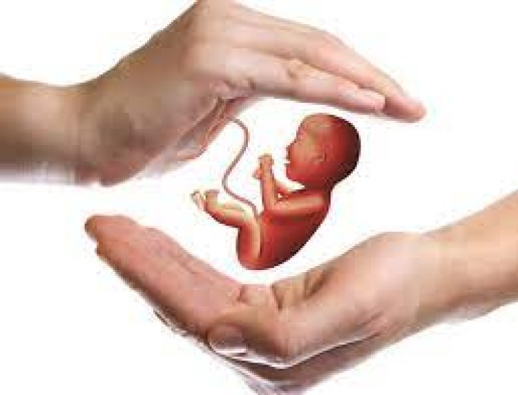 Human synthetic embryo created from stem cells without egg and sperm