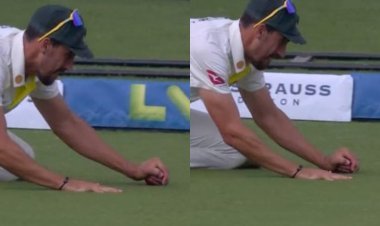 Controversy broke out on this catch of Mitchell Starc