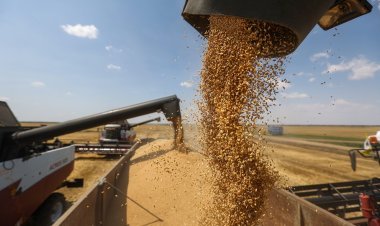 Ukraine's grain export deal ends, Russia refuses to extend