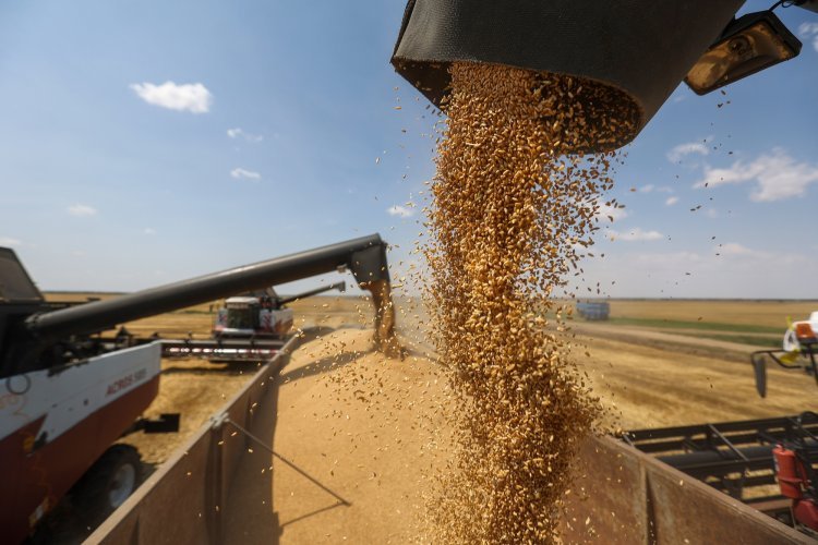 Ukraine's grain export deal ends, Russia refuses to extend
