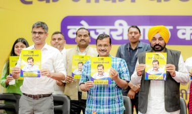 AAP's Poll Promises in MP: 20 Lakh Jobs, Free Electricity, Loan Waiver