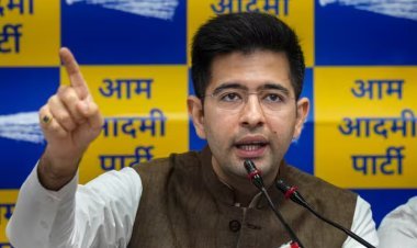 Amidst India-Bharat Debate, Raghav Chadha Suggests Alliance Name Change to BHARAT