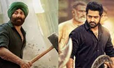 Junior NTR can play the role of Tara Singh: Anil Sharma, director of 'Gadar-2' said - otherwise no one in Mumbai can do this role