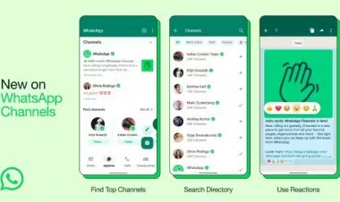 WhatsApp Channels: A new way to connect with your audience