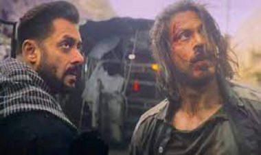 Shahrukh-Salman liked the script of Tiger VS Pathan: Pre-production starts from November; Shooting will start from March 2024