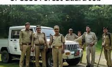 Application for UP Forest Guard Recruitment starts from today