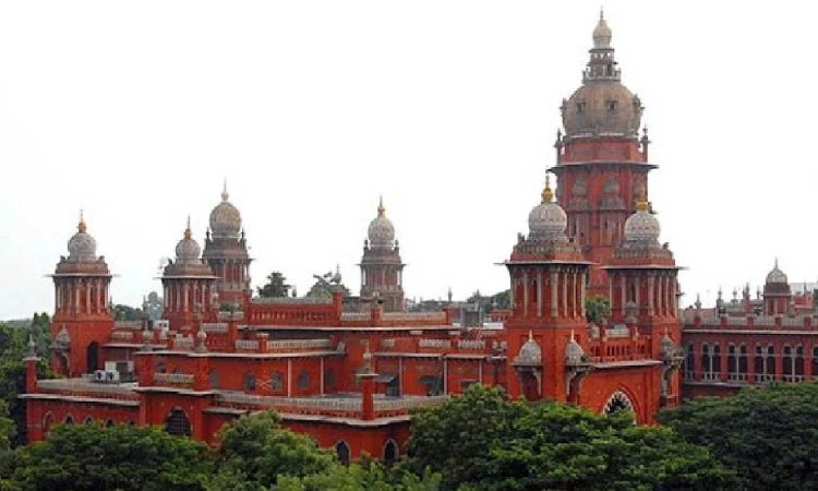Madras HC grants bail to warden in drowning case of school children, orders to give Rs 5 lakh to family members
