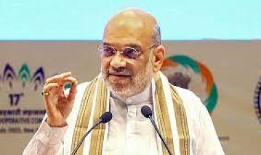 Naxalism will end in 2 years, says Shah