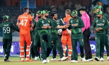 Pakistan Beat Netherlands by 81 Runs in 2023 Cricket World Cup