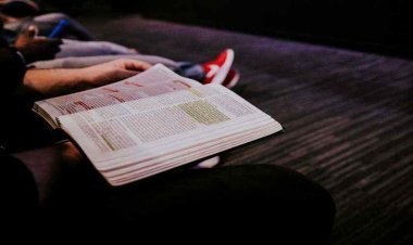 UPSC IFS Main 2023 Exam Schedule Released: Important Details