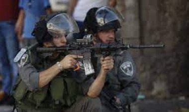 Amidst war, Israelis compete to get gun license