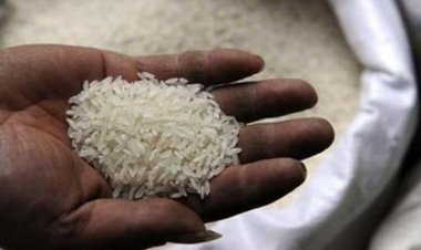 Center estimates that there could be a decline of more than 3 percent in Kharif rice production this year