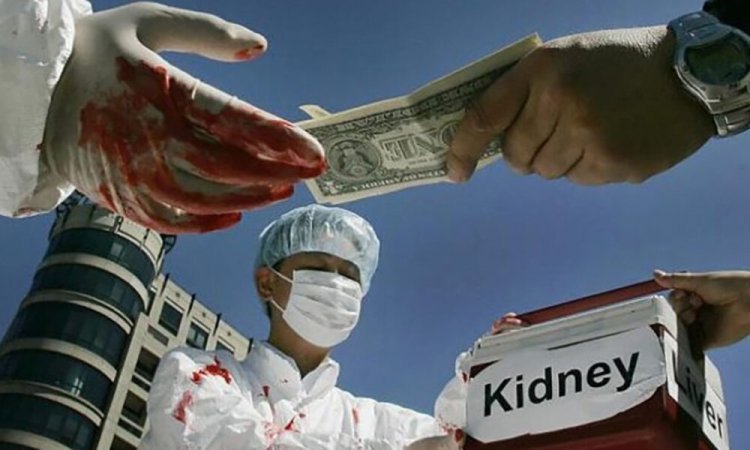 Kidney smuggling was happening for the rich in Pakistan