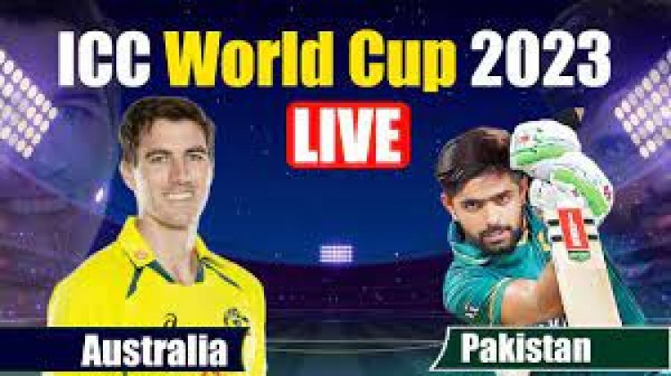 Australia gave Pakistan a target of 368 runs