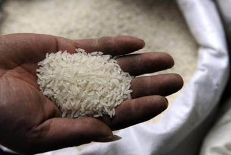 Center estimates that there could be a decline of more than 3 percent in Kharif rice production this year