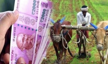 Do this work today itself for the 15th installment of PM Kisan Samman Nidhi, otherwise, the amount of the scheme may get stuck
