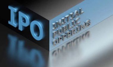 Tata Technologies IPO is closing today, how was the performance of all the IPOs this week