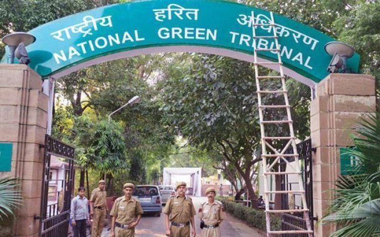 NGT reprimanded the states on the problem of pollution in the country, said - God had to come for you people