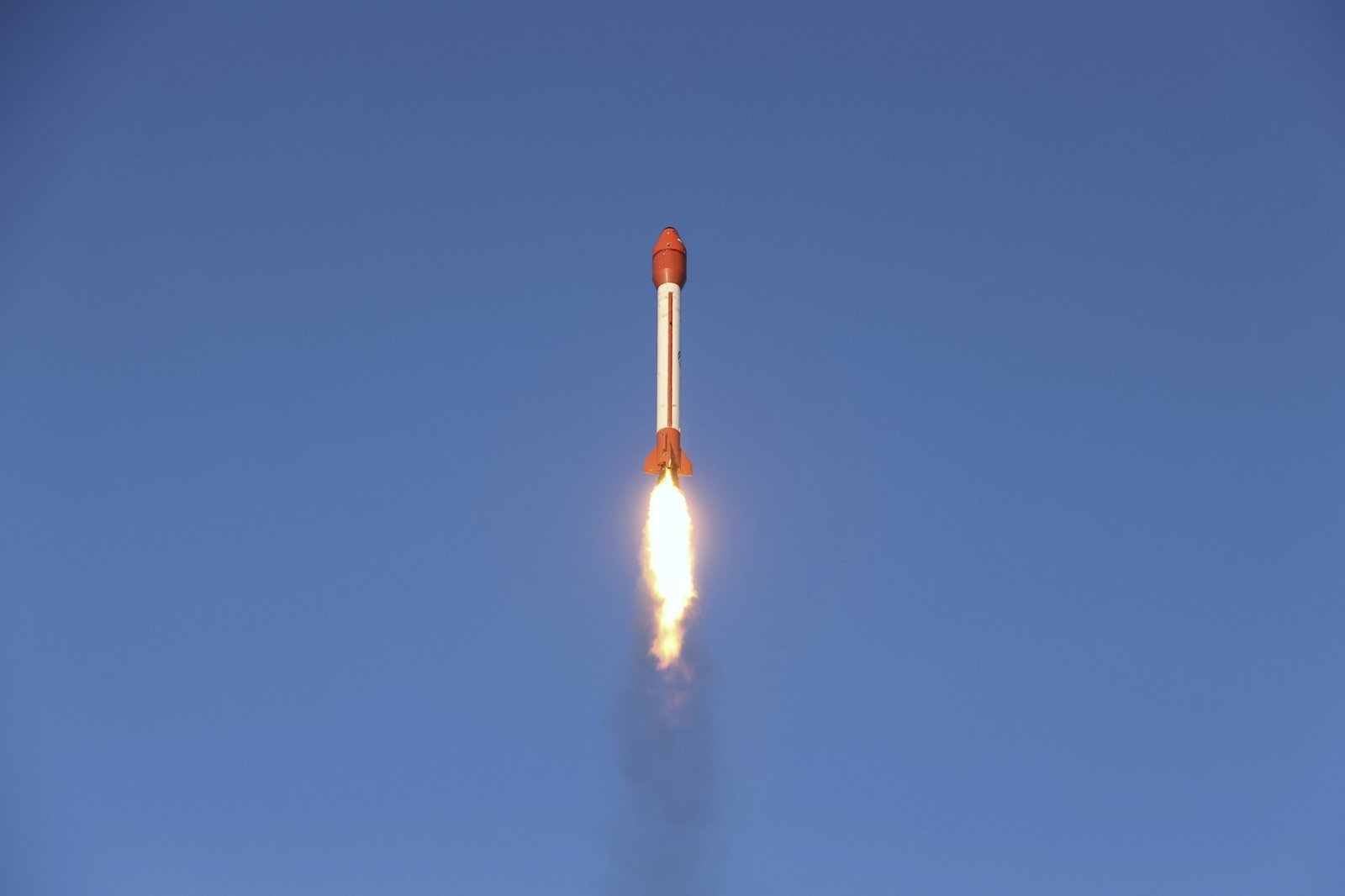 Iran sent animals into space