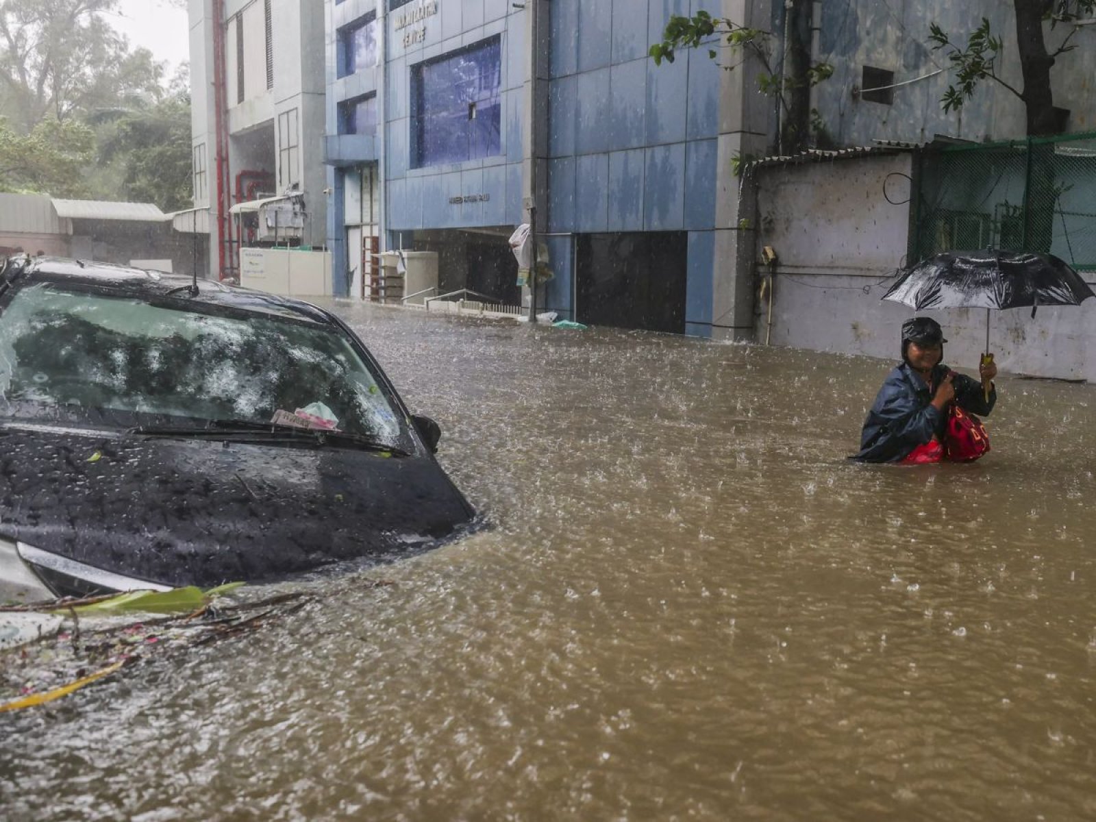 Michaung Cyclone: Impact of Michaung is also visible in Tamil Nadu, government closed schools and colleges in four districts