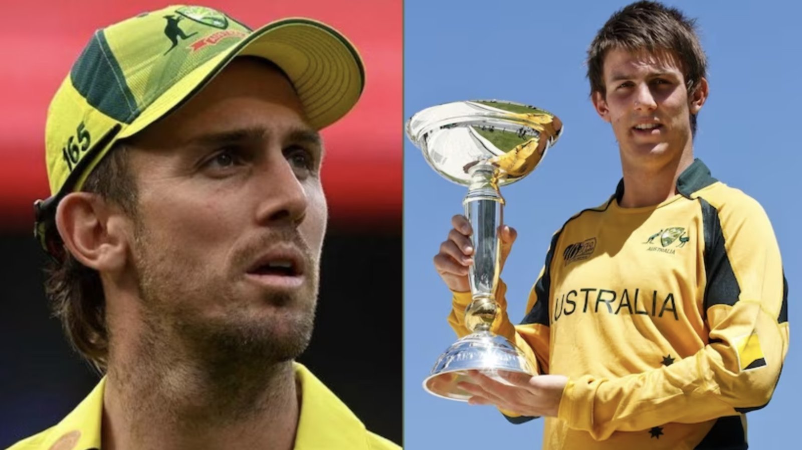 Australia got a new regular captain before the India tour, this player was given the command of all three formats