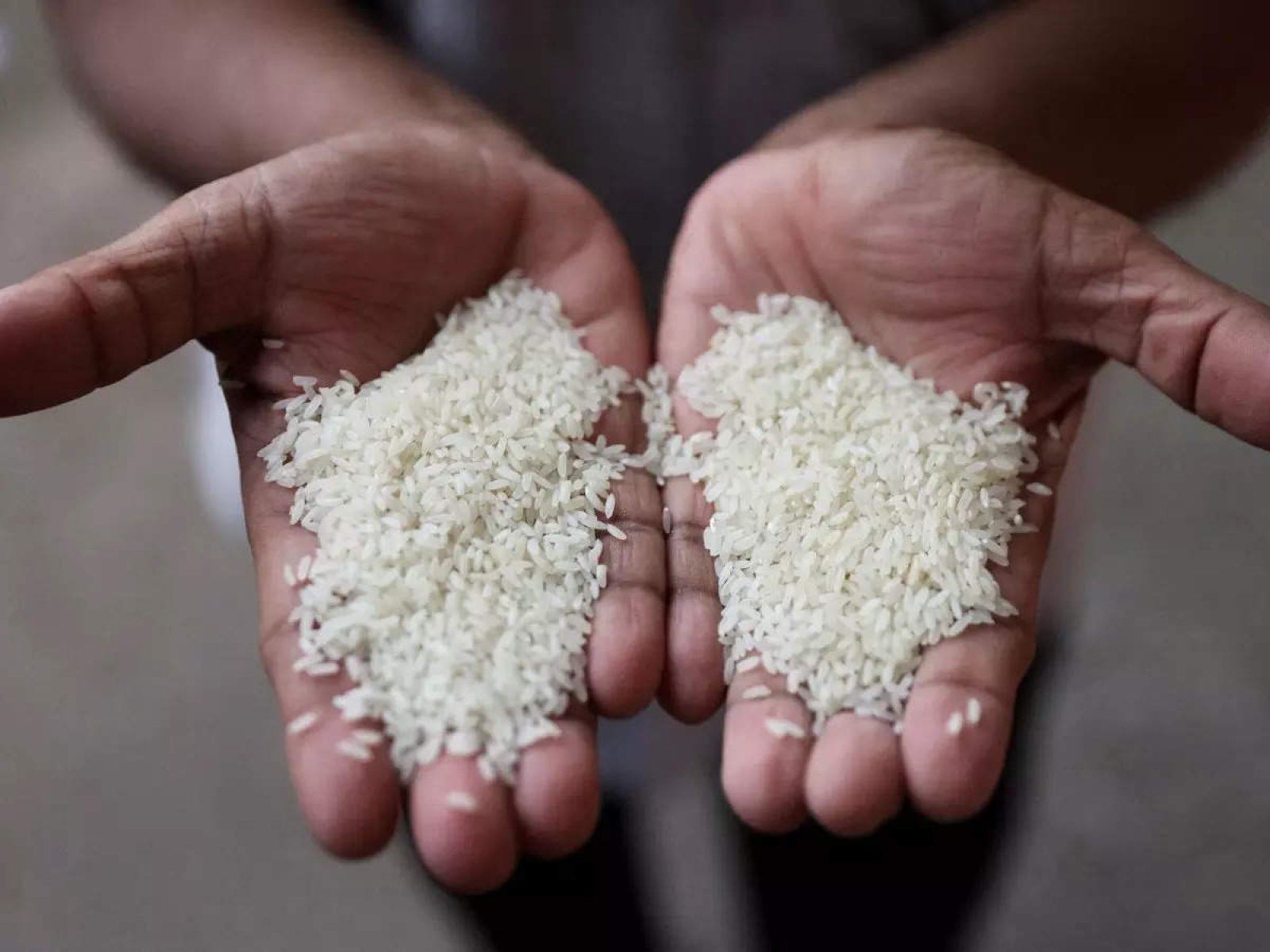 Now rice prices will reduce, what steps did Modi government take?      