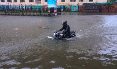 Cyclone Michong will hit Andhra Pradesh today