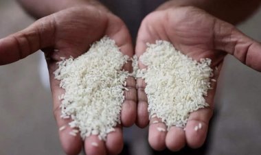 Now rice prices will reduce, what steps did Modi government take?      