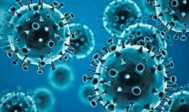 JN.1 variant of Corona spread in 40 countries of the world