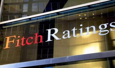 India's economic development will increase demand in industry, rating agency Fitch expressed hope