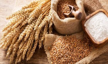 Government will sell rice at the rate of Rs 25 per kg under Bharat brand, the aim is to control the prices.