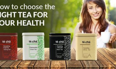 Selecting the perfect tea to support your well-being: A guide