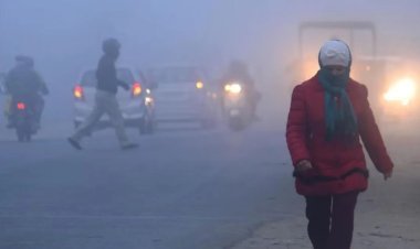 Dense fog in 7 states including Rajasthan-Madhya Pradesh