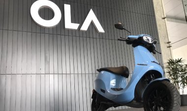 25,000 employment will be provided by Ole Electric