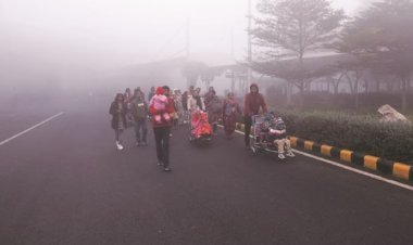 Colder in Delhi than Shimla, 23 trains delayed due to dense fog