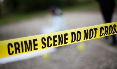 In Punjab, the courage of miscreants is high, a Sarpanch who was getting his hair cut was shot with bullets