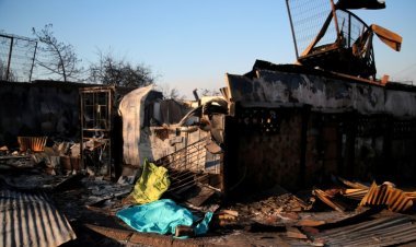 Massive fire in the forests of central Chile, 46 dead so far, government imposes emergency