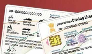 Driving license will not be cancelled till February 29, MORTH extended validity