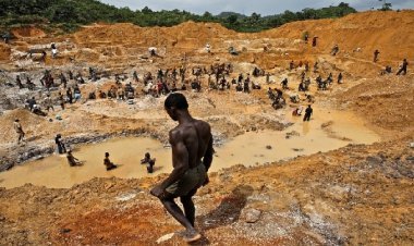 Accident in illegal gold mine in Venezuela, about 23 workers died