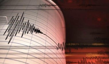 Earthquake hits Macquarie Island, intensity 5.4 on Richter scale