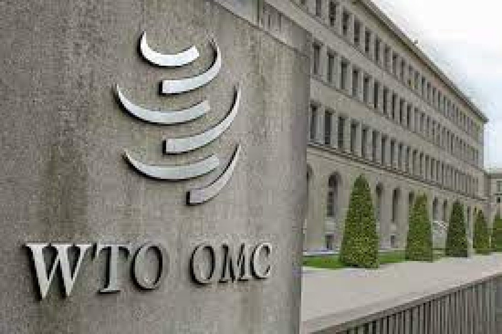 After strong opposition from India, Thailand removed its ambassador to WTO, know what is the matter