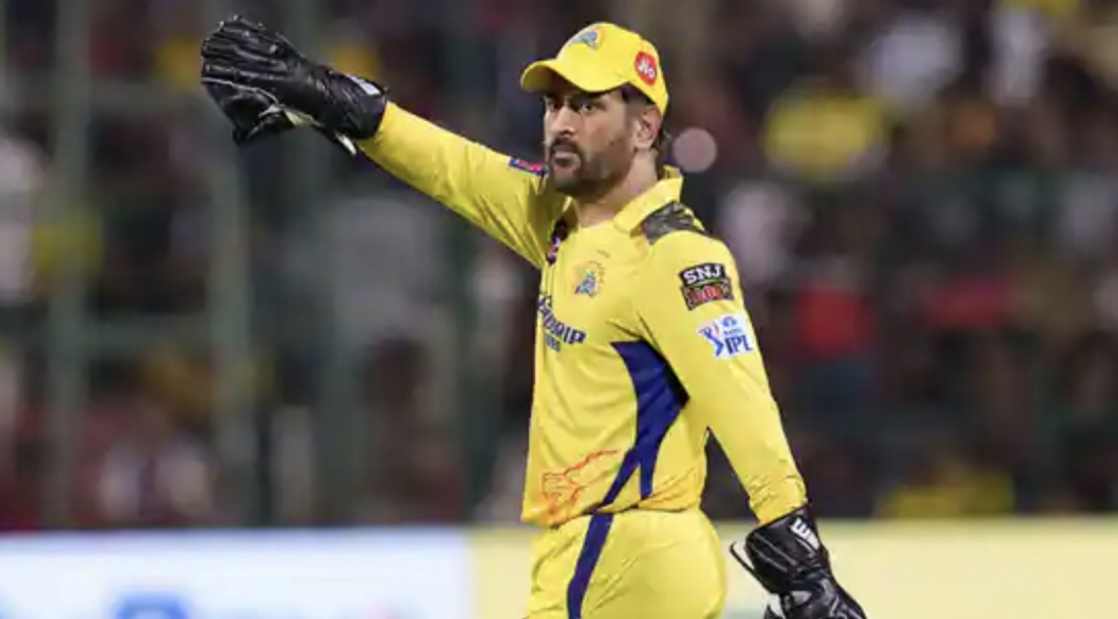 MS Dhoni will not play all the matches of IPL 2024, the veteran gave the reason