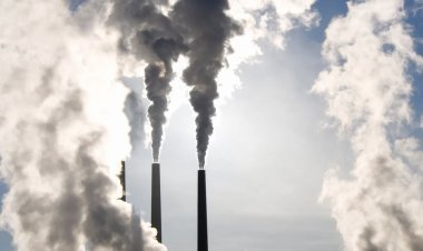 People have a right to clean air and water to drink, the Supreme Court said, expressing disapproval over polluting industries.