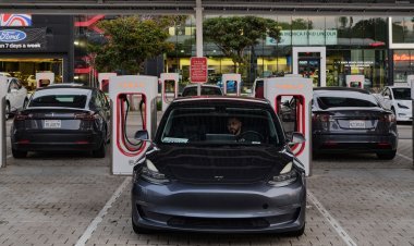 14,000 employees may lose jobs in Tesla, company's senior vice president resigns