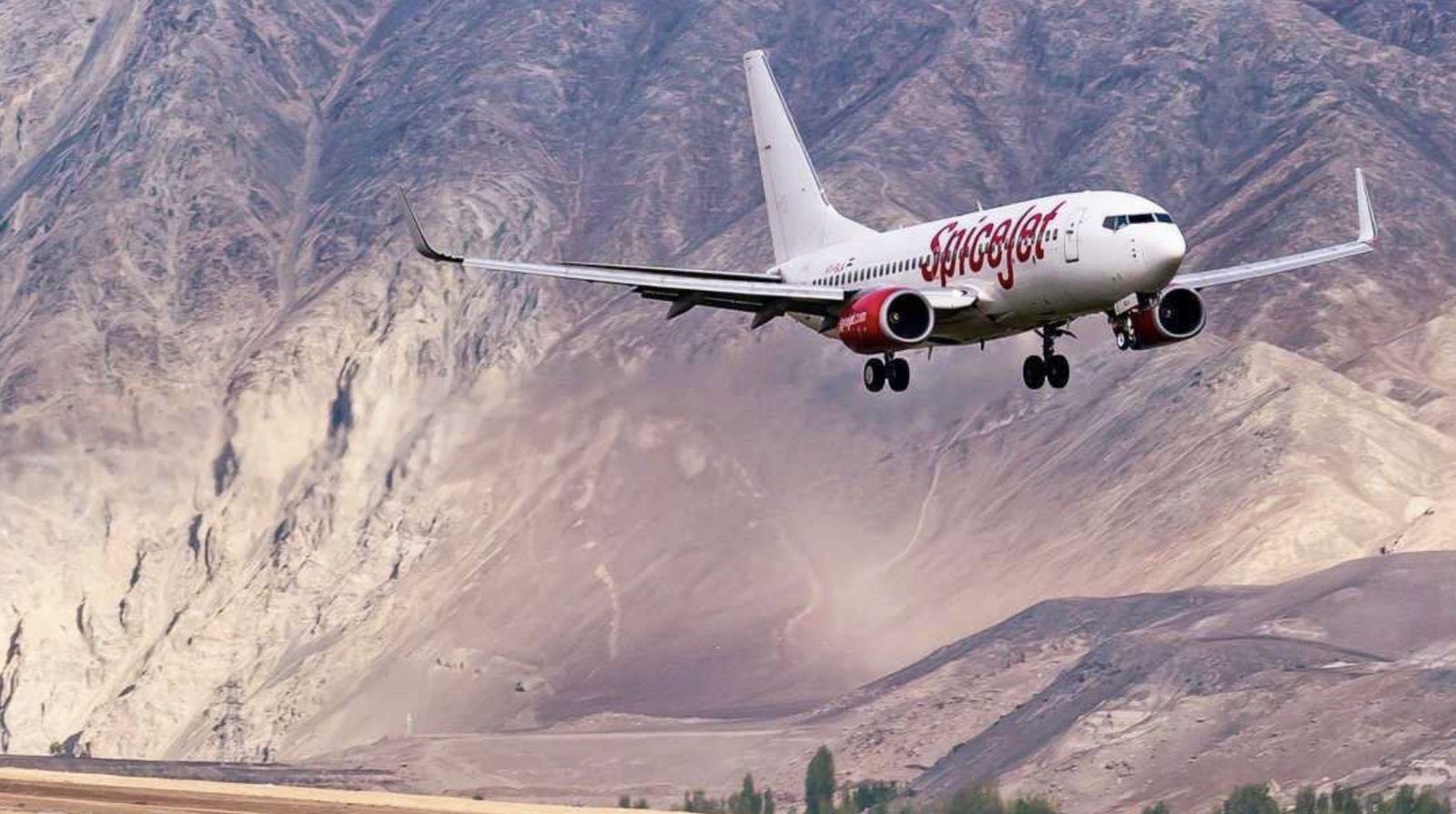Bird hits the engine of SpiceJet flight, Leh bound plane lands back in Delhi; There were 135 passengers on board