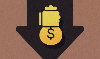 Startup funding in India decreased by 17% during FY2023-24, only one unicorn formed in 2023