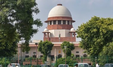 Supreme Court: 'FSSAI failed to stop the use of pesticides in food items', notice issued to Center on appeal